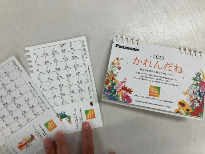 かれんだね種まきしました！