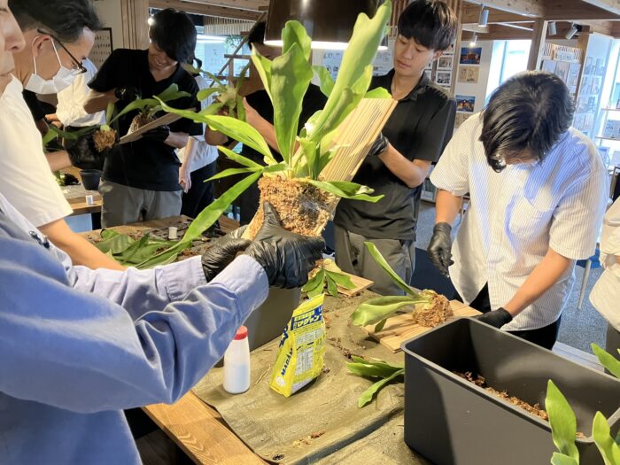 インテリアグリーンの体験に参加しました。