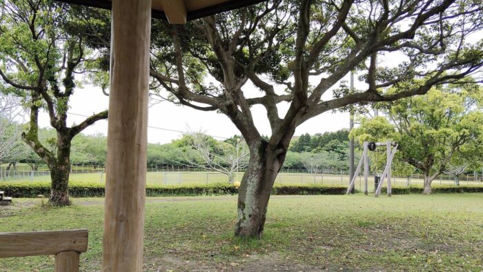 現場の合間に公園でお仕事をしました